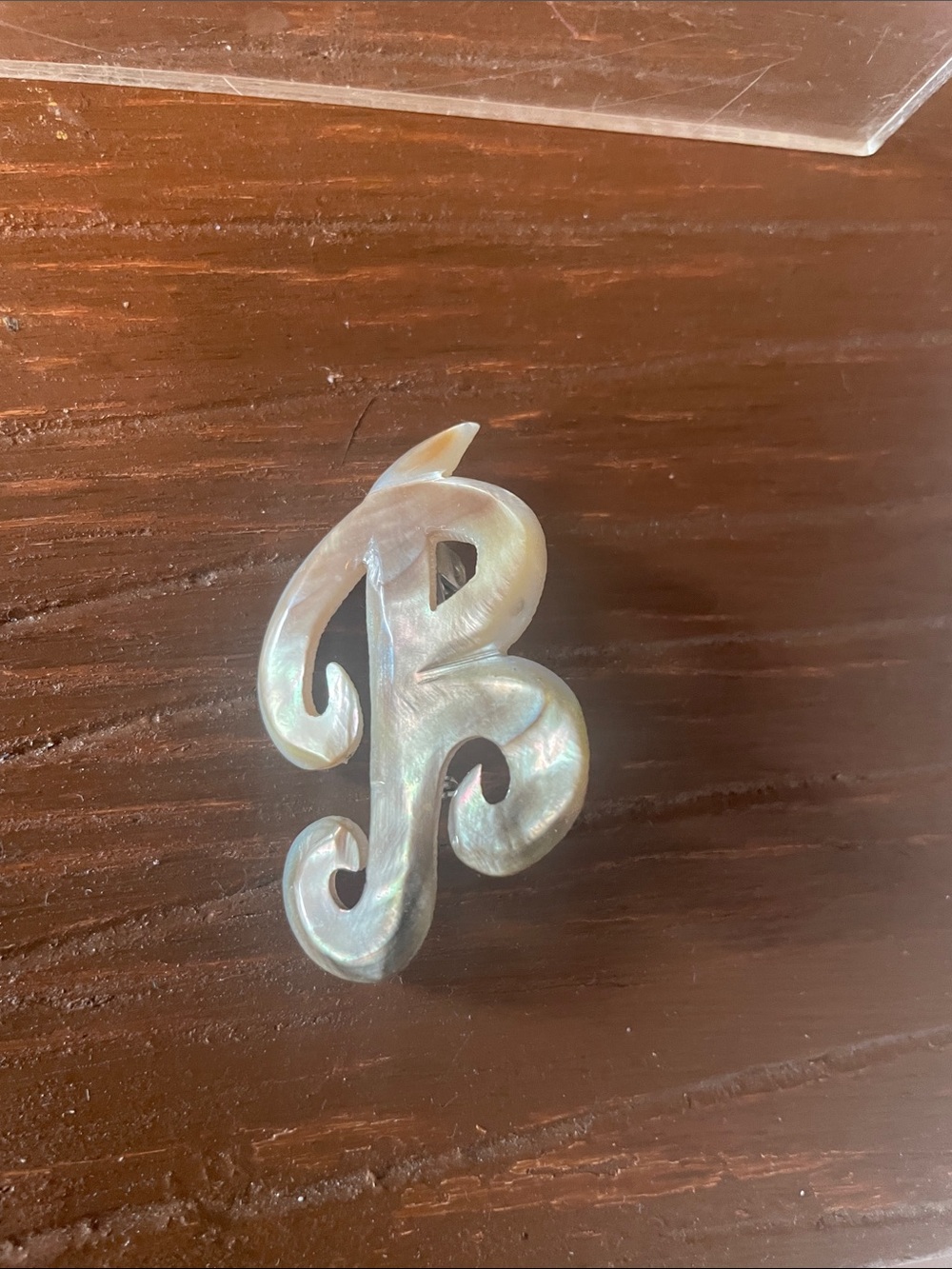 Iridescent Mother-of-Pearl carvered Letter “B” brooch